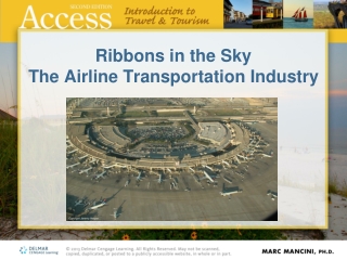 Ribbons in the Sky  The Airline Transportation Industry