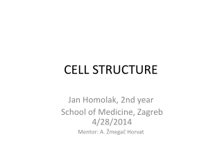 CELL STRUCTURE