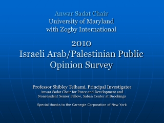 Professor Shibley Telhami, Principal Investigator Anwar Sadat Chair for Peace and Development and