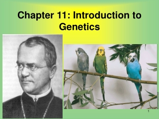 Chapter 11: Introduction to Genetics