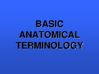 BASIC  ANATOMICAL TERMINOLOGY