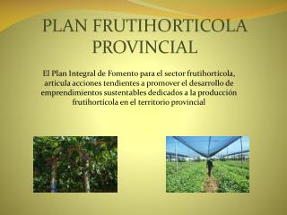 PLAN FRUTIHORTICOLA PROVINCIAL