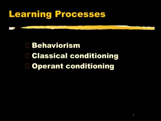 Learning Processes