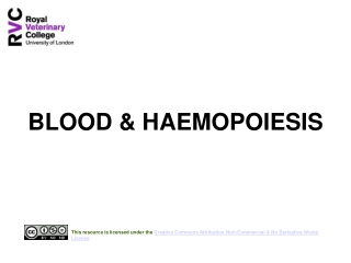 BLOOD &amp; HAEMOPOIESIS