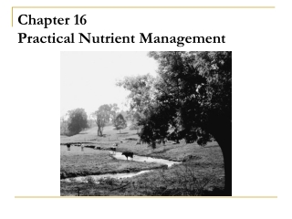 Chapter 16 Practical Nutrient Management