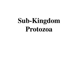 Sub-Kingdom Protozoa
