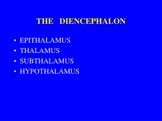 THE   DIENCEPHALON