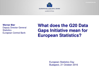 What does the G20 Data Gaps Initiative mean for European Statistics?