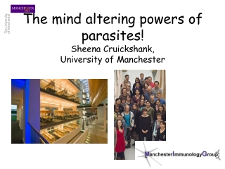 The mind altering powers of parasites! Sheena Cruickshank,  University of Manchester