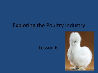 Exploring the Poultry Industry