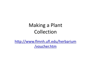 Making a Plant  Collection