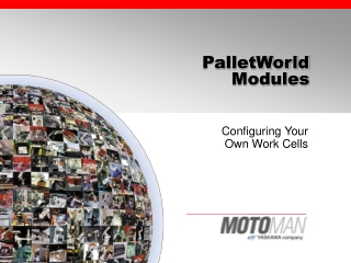PalletWorld  Modules