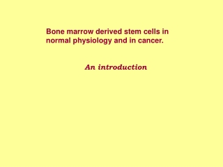 Bone marrow derived stem cells in normal physiology and in cancer. An introduction