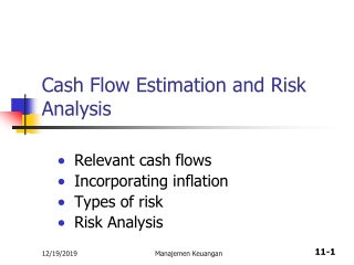 Cash Flow Estimation and Risk Analysis