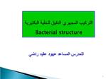Bacterial structure