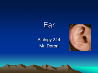 Ear