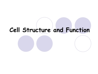 Cell Structure and Function