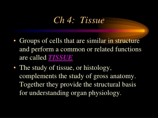 Ch 4:  Tissue