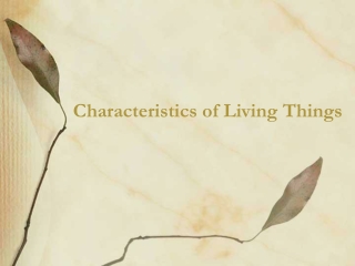 Characteristics of Living Things