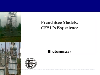 Franchisee Models:                              CESU’s Experience