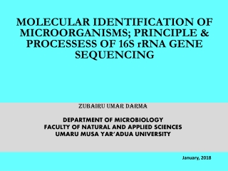 MOLECULAR IDENTIFICATION OF MICROORGANISMS; PRINCIPLE &amp; PROCESSESS OF 16S  rRNA  GENE SEQUENCING