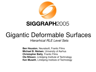 Gigantic Deformable Surfaces Hierarhical RLE Level Sets