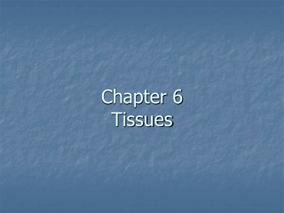 Chapter 6 Tissues