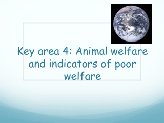 Key area 4: Animal welfare and indicators of poor welfare