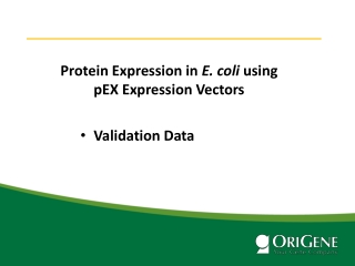 Protein Expression in  E. coli  using  pEX Expression Vectors