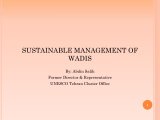 SUSTAINABLE MANAGEMENT OF WADIS