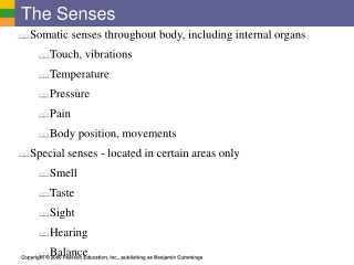 The Senses