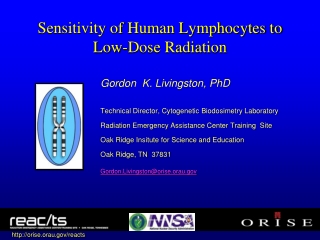 Sensitivity of Human Lymphocytes to  Low-Dose Radiation