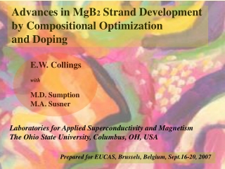 Advances in MgB 2  Strand Development  by Compositional Optimization and Doping