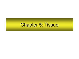 Chapter 5: Tissue