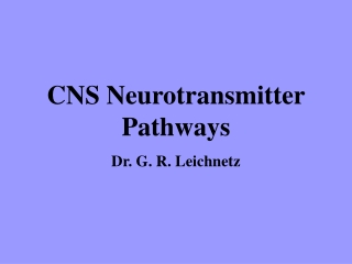 CNS Neurotransmitter Pathways