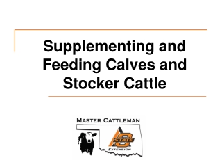 Supplementing and Feeding Calves and Stocker Cattle