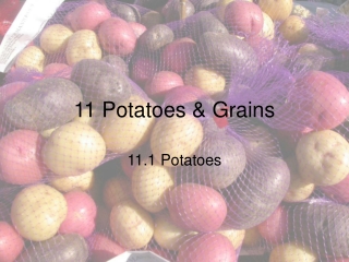 11 Potatoes &amp; Grains