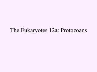 The Eukaryotes 12a: Protozoans