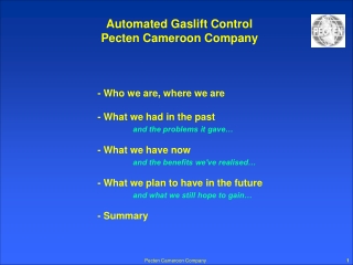 Automated Gaslift Control Pecten Cameroon Company