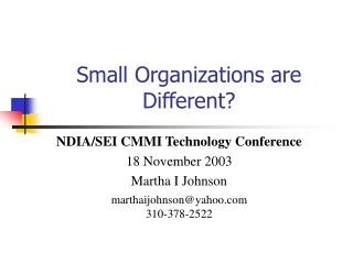 Small Organizations are Different?