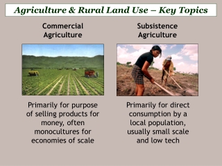 Primarily for direct consumption by a local population, usually small scale and low tech