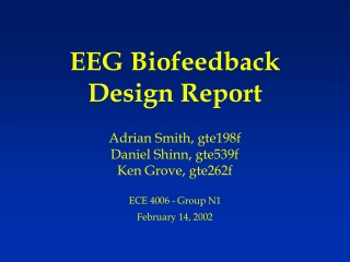 EEG Biofeedback Design Report