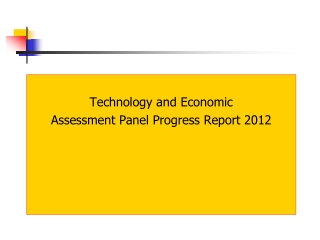 Technology and Economic  Assessment Panel Progress Report 2012