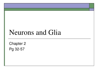 Neurons and Glia