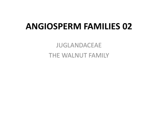 ANGIOSPERM FAMILIES 02