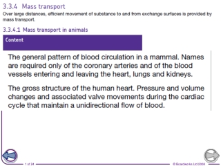 Circulatory System of a Mammal