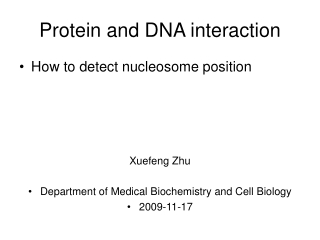 Protein and DNA interaction