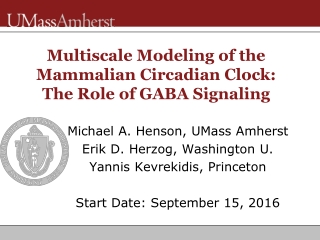 Multiscale Modeling of the Mammalian Circadian Clock: The Role of GABA Signaling