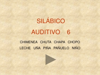 SILÁBICO AUDITIVO    6