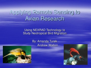 Applying Remote Sensing to Avian Research